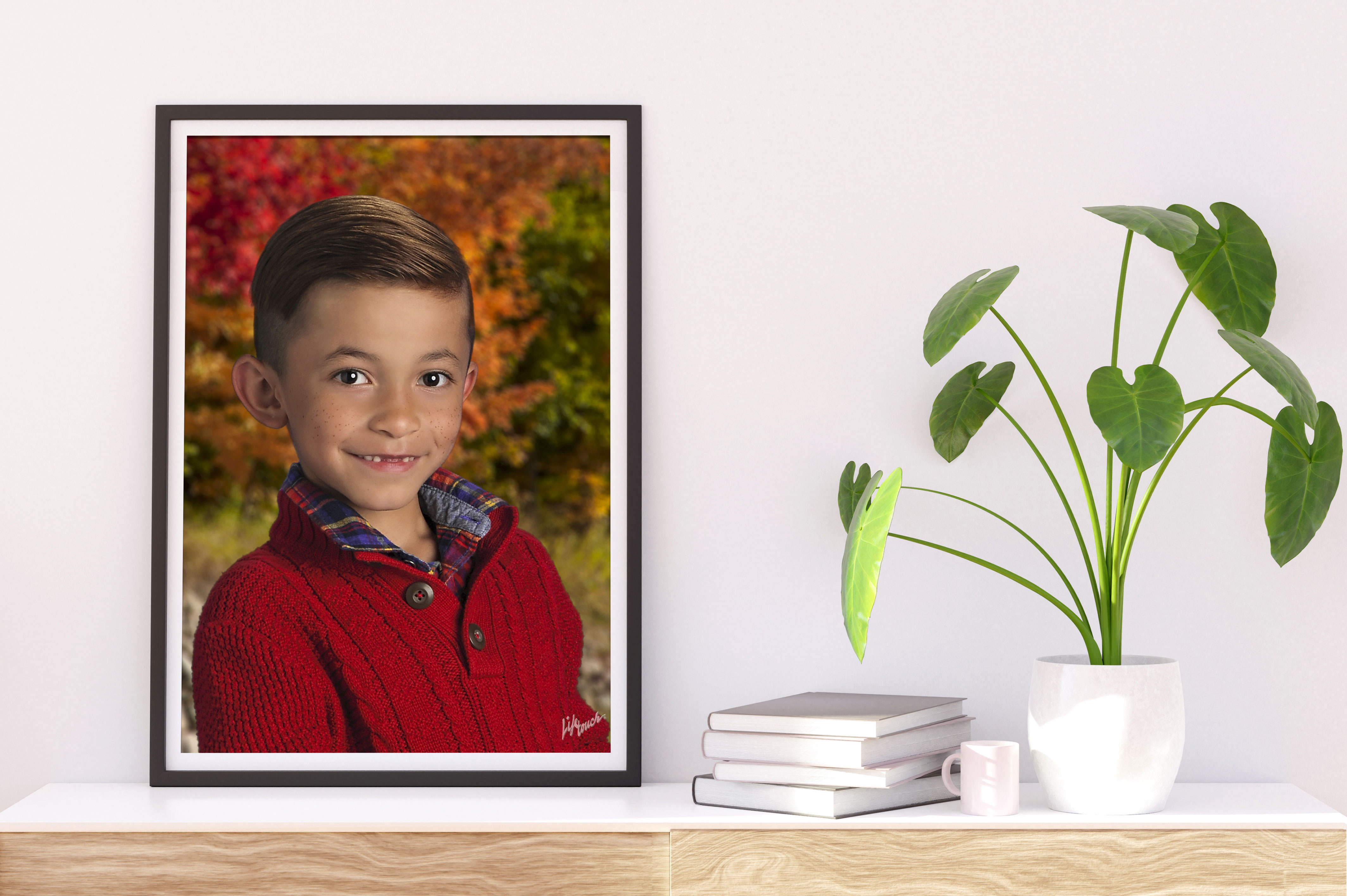 Lifetouch School photography images on wooden shelf next to plant